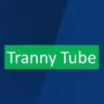 Tranny Tube: Everything You Need to Know Explained Here