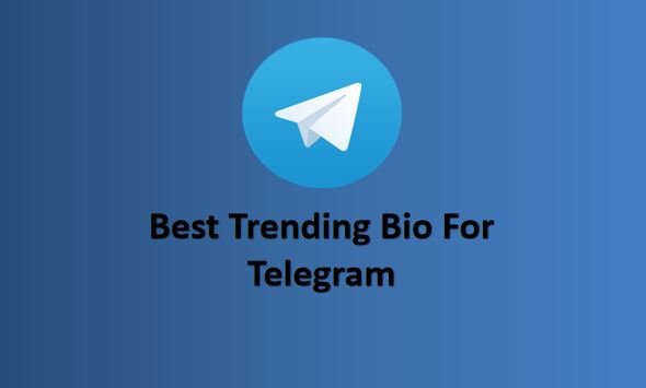 Bio For Telegram